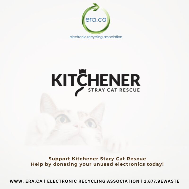 Image for the Tweet beginning: Join ERA in supporting Kitchener